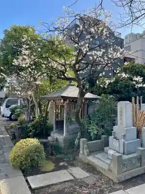 栄松院の{uncategorized: "未分類", other: "その他", undefined: "問題あり", building: "その他建物", grave: "お墓", sacred_gate: "鳥居", guardian: "狛犬", statue: "像", buddha: "仏像", history: "歴史", nature: "自然", garden: "庭園", animal: "動物", pagoda: "塔", temizu: "手水舎", mountain_gate: "山門・神門", sanctuary: "本殿・本堂", subordinate: "末社・摂社", art: "芸術", scenery: "景色", jizo: "地蔵", ema: "絵馬", goshuin: "御朱印", omikuji: "おみくじ", items: "授与品その他", amulet: "お守り", goshuincho: "御朱印帳", eats: "食事", festival: "お祭り", votive_dance: "神楽", shichigosan: "七五三参", wedding: "結婚式", experience: "体験その他", initially: "初詣", around: "周辺", anti_infection: "感染症対策"}