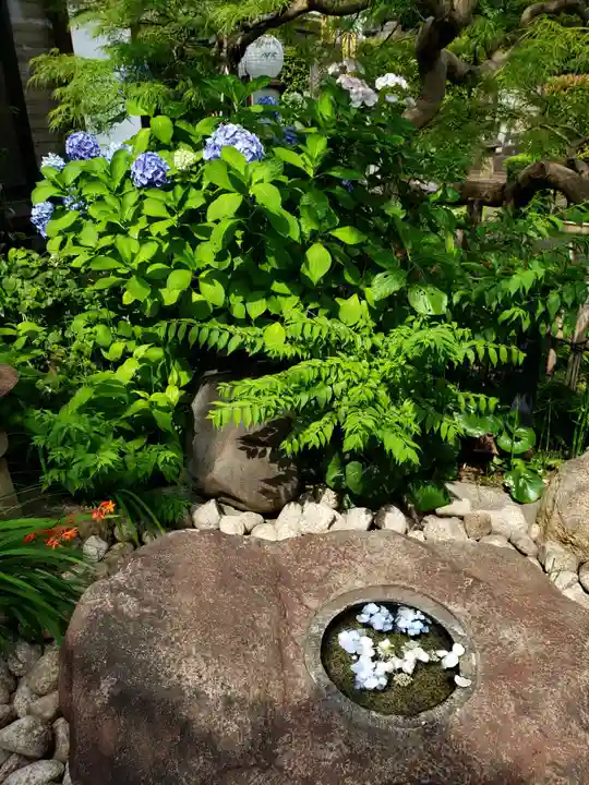 智光院(東京都)