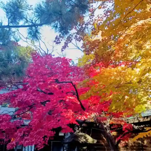 彌彦神社　(伊夜日子神社)(北海道)