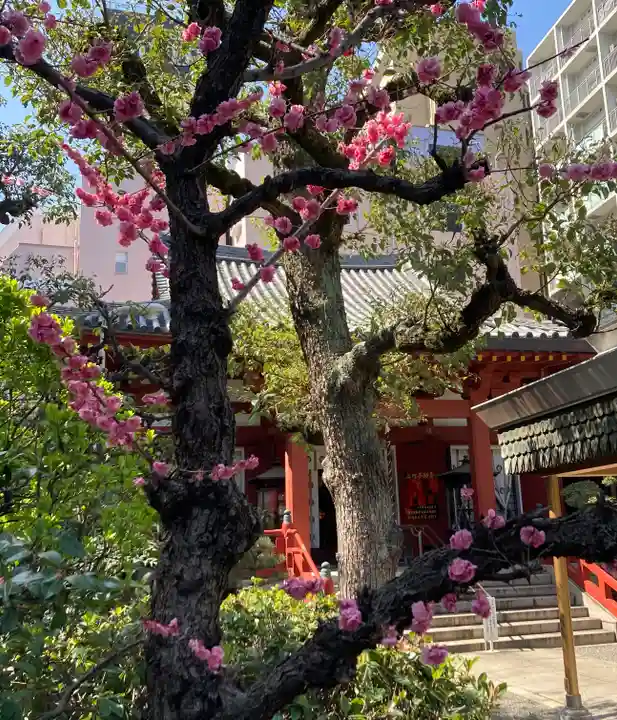 藤次寺(大阪府)