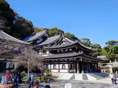 長谷寺(神奈川県)