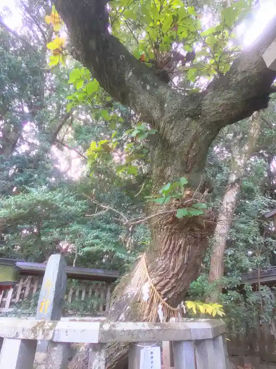 宗像大社の自然