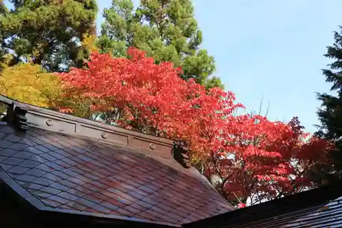 高司神社〜むすびの神の鎮まる社〜の景色