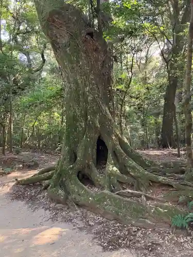 鹿島神宮(茨城県)