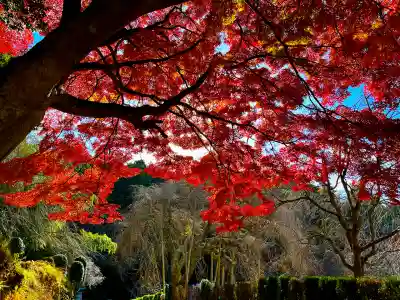 栄存神社(宮城県)