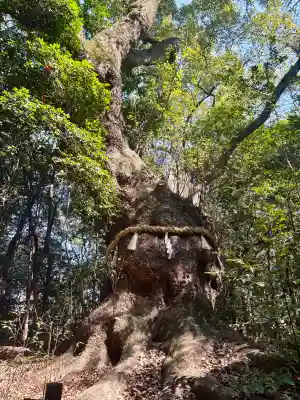 熱田神宮の{uncategorized: "未分類", other: "その他", undefined: "問題あり", building: "その他建物", grave: "お墓", sacred_gate: "鳥居", guardian: "狛犬", statue: "像", buddha: "仏像", history: "歴史", nature: "自然", garden: "庭園", animal: "動物", pagoda: "塔", temizu: "手水舎", mountain_gate: "山門・神門", sanctuary: "本殿・本堂", subordinate: "末社・摂社", art: "芸術", scenery: "景色", jizo: "地蔵", ema: "絵馬", goshuin: "御朱印", omikuji: "おみくじ", items: "授与品その他", amulet: "お守り", goshuincho: "御朱印帳", eats: "食事", festival: "お祭り", votive_dance: "神楽", shichigosan: "七五三参", wedding: "結婚式", experience: "体験その他", initially: "初詣", around: "周辺", anti_infection: "感染症対策"}