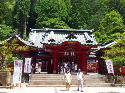 箱根神社の本殿・本堂