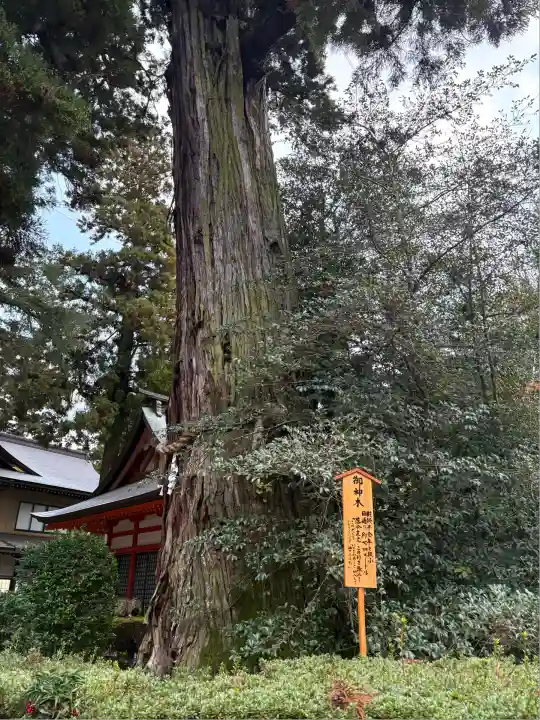 香取神宮(千葉県)