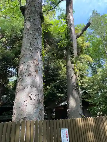 調神社(埼玉県)