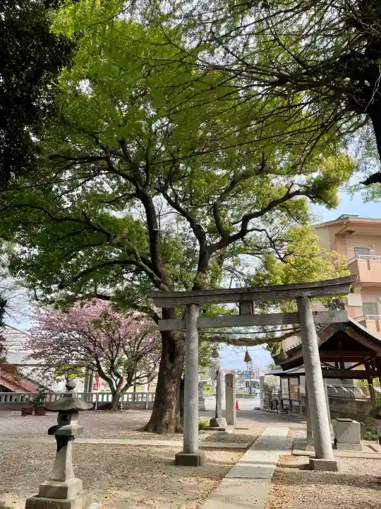 諏訪大神社 の{uncategorized: "未分類", other: "その他", undefined: "問題あり", building: "その他建物", grave: "お墓", sacred_gate: "鳥居", guardian: "狛犬", statue: "像", buddha: "仏像", history: "歴史", nature: "自然", garden: "庭園", animal: "動物", pagoda: "塔", temizu: "手水舎", mountain_gate: "山門・神門", sanctuary: "本殿・本堂", subordinate: "末社・摂社", art: "芸術", scenery: "景色", jizo: "地蔵", ema: "絵馬", goshuin: "御朱印", omikuji: "おみくじ", items: "授与品その他", amulet: "お守り", goshuincho: "御朱印帳", eats: "食事", festival: "お祭り", votive_dance: "神楽", shichigosan: "七五三参", wedding: "結婚式", experience: "体験その他", initially: "初詣", around: "周辺", anti_infection: "感染症対策"}