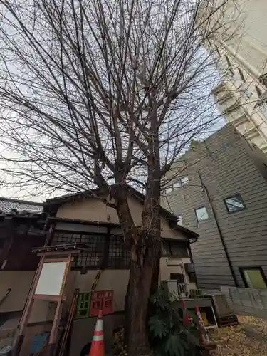 宗参寺大辨財天堂(東京都)