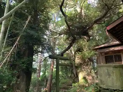 稲荷神社のその他建物