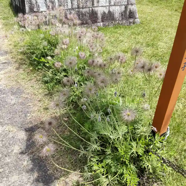 和氣神社(和気神社)の自然