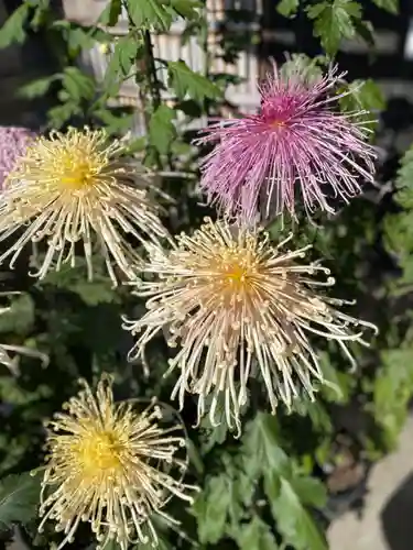 大久保山 自性院の庭園