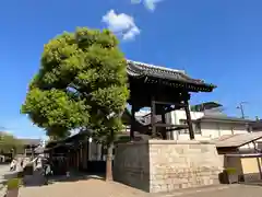 壬生寺(京都府)