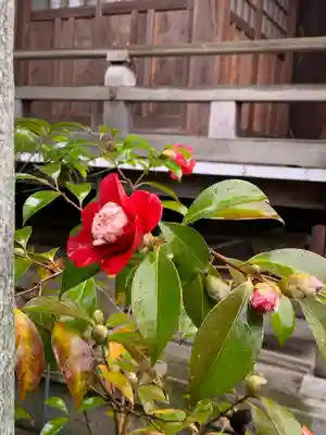 行田八幡神社(埼玉県)