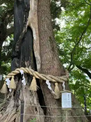 常陸國總社宮(茨城県)