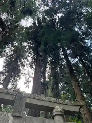 大宮温泉神社(栃木県)