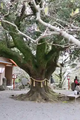 橘神社(長崎県)