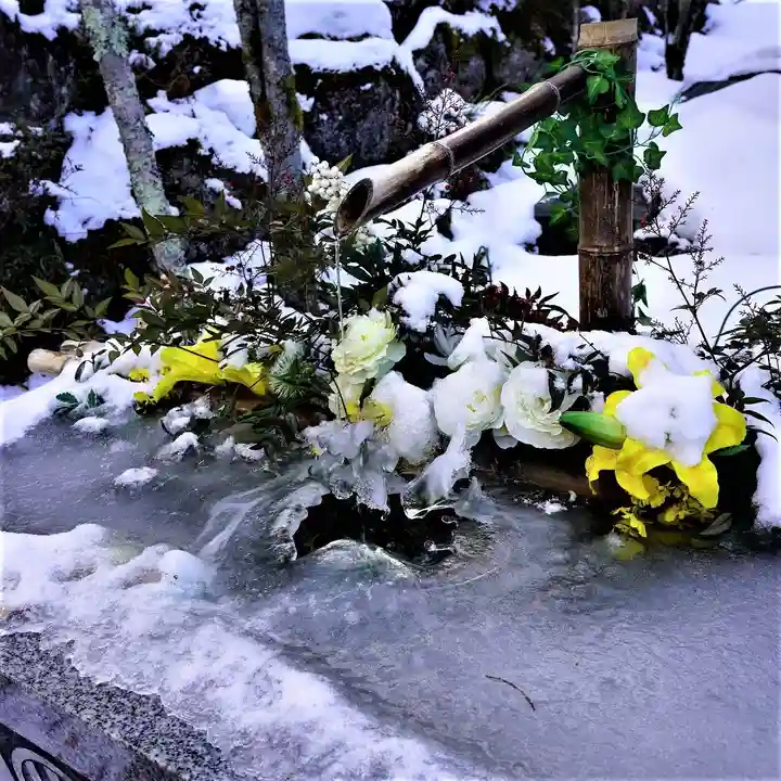 陽林寺の手水舎