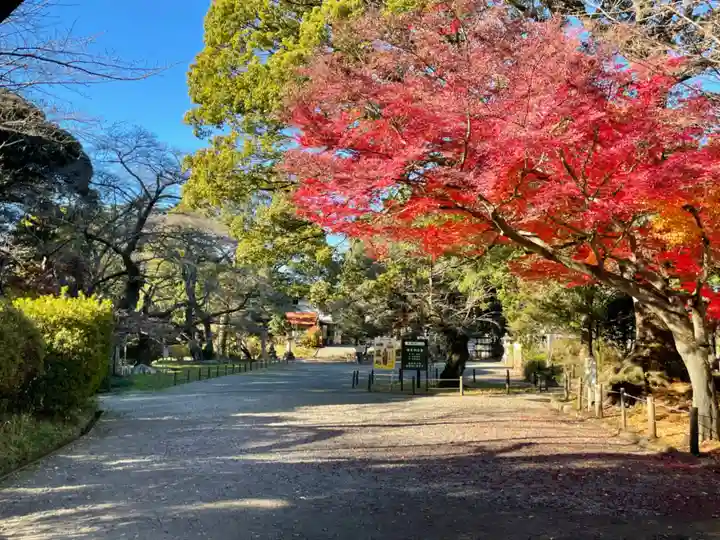 大宝八幡宮のその他建物