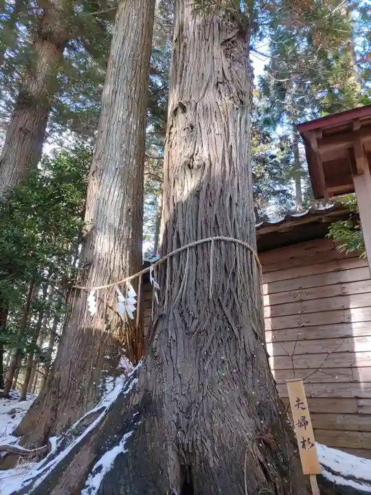 坪沼八幡神社(宮城県)