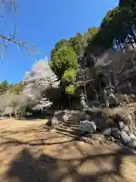 高山不動尊常楽院の{uncategorized: "未分類", other: "その他", undefined: "問題あり", building: "その他建物", grave: "お墓", sacred_gate: "鳥居", guardian: "狛犬", statue: "像", buddha: "仏像", history: "歴史", nature: "自然", garden: "庭園", animal: "動物", pagoda: "塔", temizu: "手水舎", mountain_gate: "山門・神門", sanctuary: "本殿・本堂", subordinate: "末社・摂社", art: "芸術", scenery: "景色", jizo: "地蔵", ema: "絵馬", goshuin: "御朱印", omikuji: "おみくじ", items: "授与品その他", amulet: "お守り", goshuincho: "御朱印帳", eats: "食事", festival: "お祭り", votive_dance: "神楽", shichigosan: "七五三参", wedding: "結婚式", experience: "体験その他", initially: "初詣", around: "周辺", anti_infection: "感染症対策"}