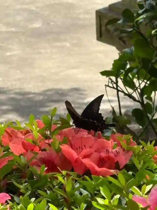 大船観音寺(神奈川県)
