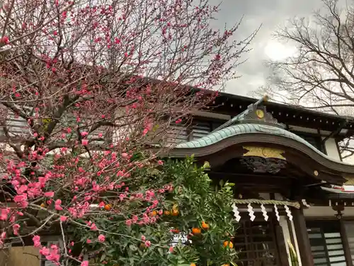 大國魂神社(東京都)