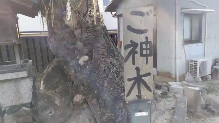 櫟谷七野神社(京都府)