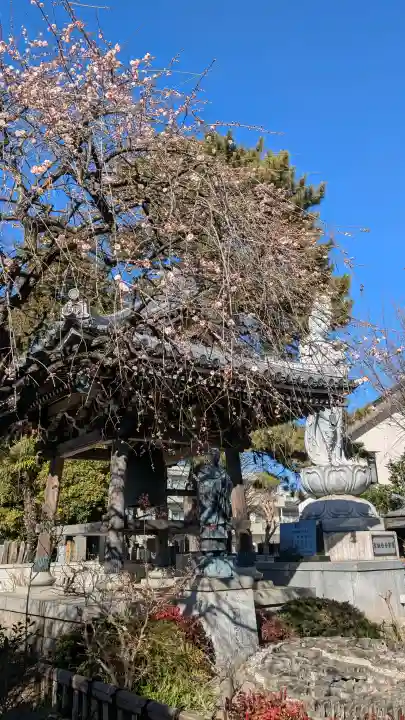 廓信寺の{uncategorized: "未分類", other: "その他", undefined: "問題あり", building: "その他建物", grave: "お墓", sacred_gate: "鳥居", guardian: "狛犬", statue: "像", buddha: "仏像", history: "歴史", nature: "自然", garden: "庭園", animal: "動物", pagoda: "塔", temizu: "手水舎", mountain_gate: "山門・神門", sanctuary: "本殿・本堂", subordinate: "末社・摂社", art: "芸術", scenery: "景色", jizo: "地蔵", ema: "絵馬", goshuin: "御朱印", omikuji: "おみくじ", items: "授与品その他", amulet: "お守り", goshuincho: "御朱印帳", eats: "食事", festival: "お祭り", votive_dance: "神楽", shichigosan: "七五三参", wedding: "結婚式", experience: "体験その他", initially: "初詣", around: "周辺", anti_infection: "感染症対策"}