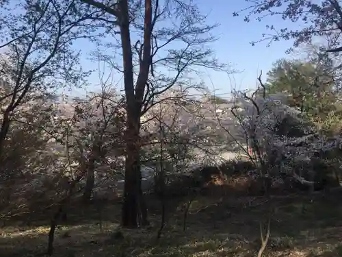 埼玉厄除け開運大師・龍泉寺（切り絵御朱印発祥の寺）の周辺
