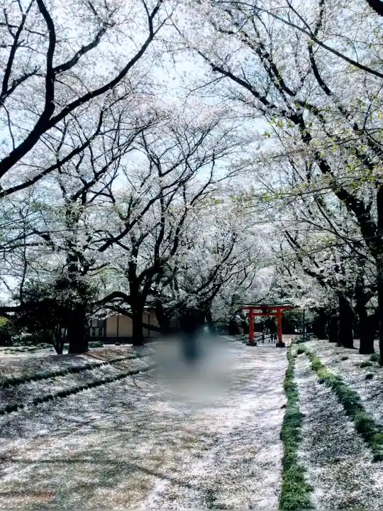 東蕗田天満社(茨城県)