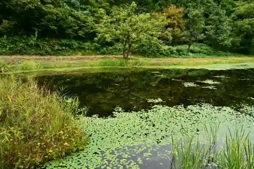 郡殿の池弁財天社(新潟県)