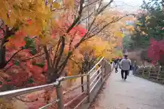 新倉富士浅間神社(山梨県)