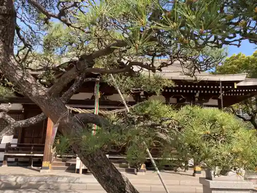 住吉神社のその他建物