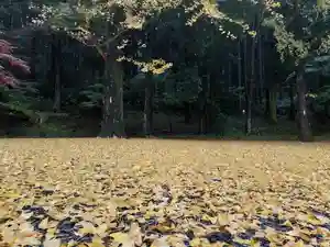 南湖神社の自然(2021年11月10日(水) 14時34分49秒投稿)