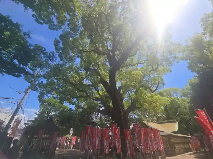 楠珺社(住吉大社末社)(大阪府)