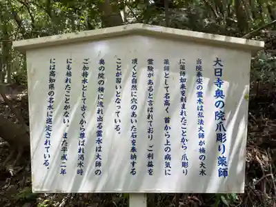 大日寺奥の院爪彫薬師(高知県)
