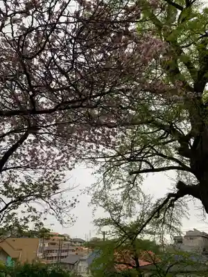 陽林寺(神奈川県)