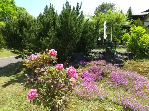 脳天大神　蔵王寺（金峯山修験本宗 北海道別院）(北海道)