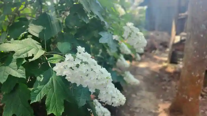 山神社(宮城県)