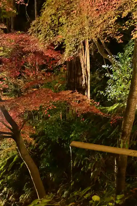 善水寺(滋賀県)