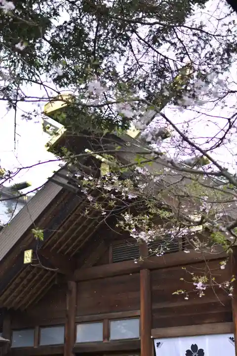 櫻木神社の本殿・本堂
