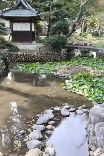 蓮花院(埼玉県)