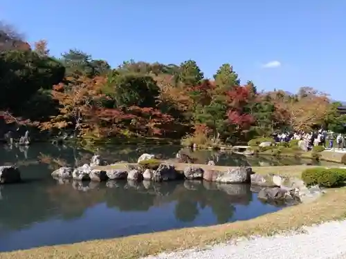 天龍寺の庭園