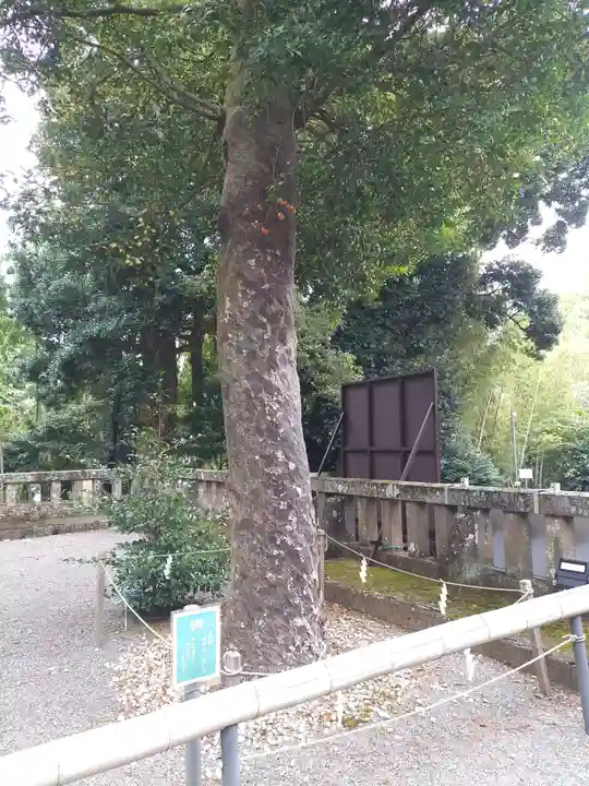伊豆山神社(静岡県)