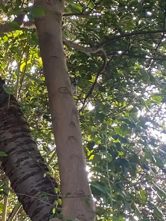 植田八幡神社(福島県)