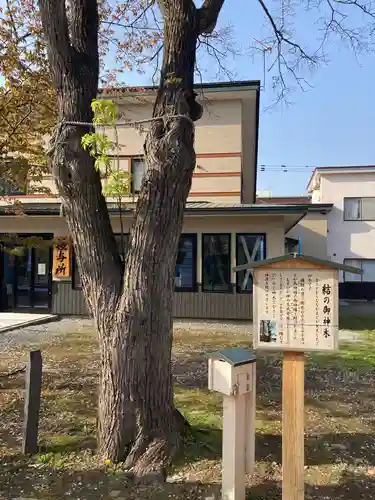 空知神社の自然