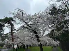 武蔵一宮氷川神社(埼玉県)